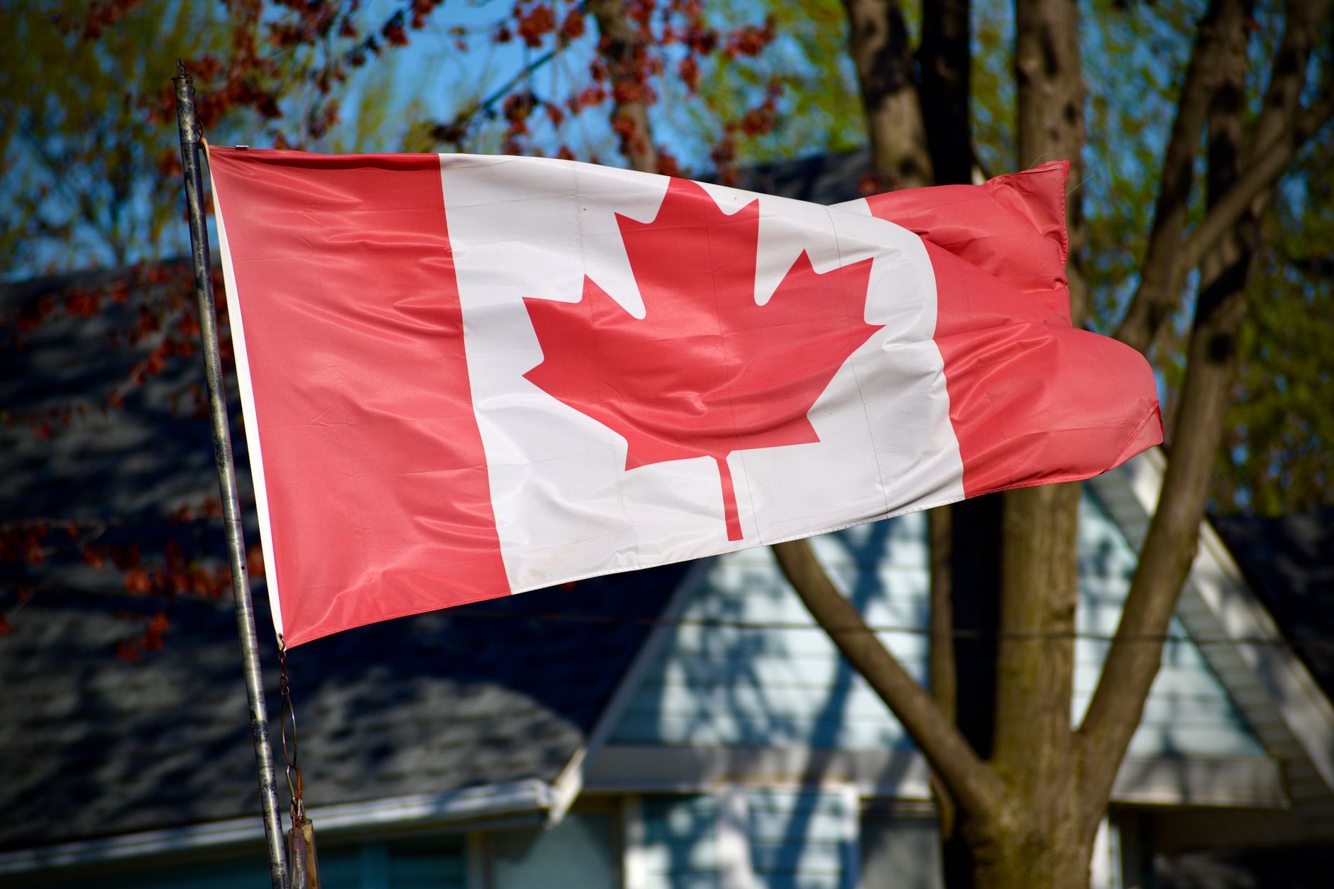 IELTS for Canada PR Requirements 2026 in Chandigarh